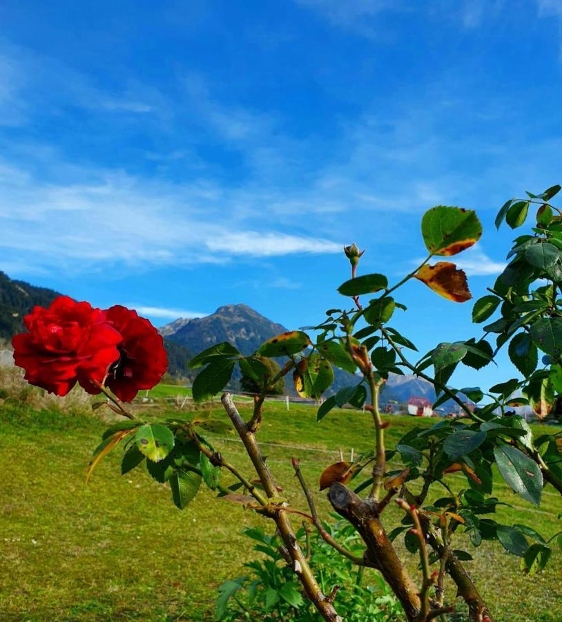 Loretz Liane Sankt Gallenkirch Dış mekan fotoğraf