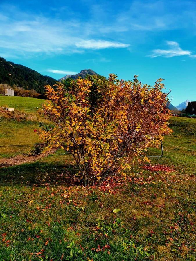 Loretz Liane Sankt Gallenkirch Dış mekan fotoğraf